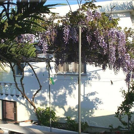 Ampelos Apartment And Studios 赛罗卡波斯 外观 照片